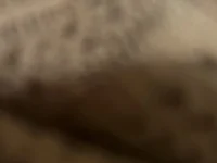 ruivinha1237 webcam