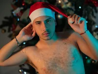 Модель Axel_grey_