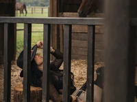 Модель EmmyEvans1