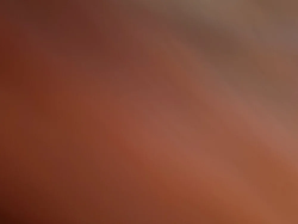cover photo of fox--3
