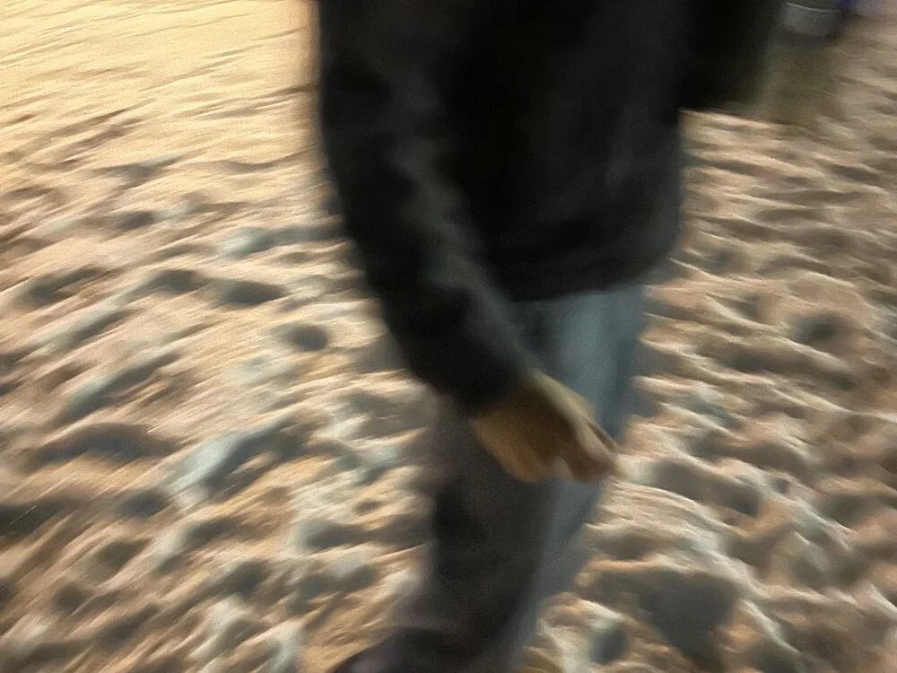 Chatroom XXX hors ligne de johnnyy0621