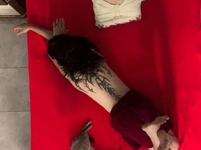 KittyChannel_ profile