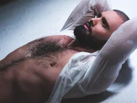 Модель alex_wolf_