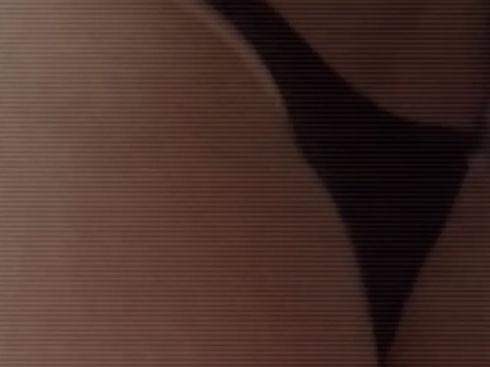tanikitan Offline XXX chat