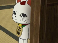 pitoco56's webcam live show