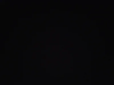 True_Exit898 profile