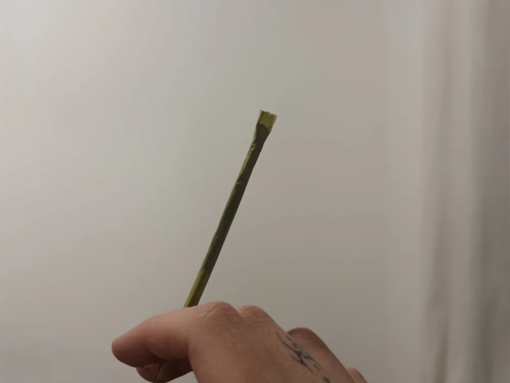 Offline chatovací místnost Brunozsp19