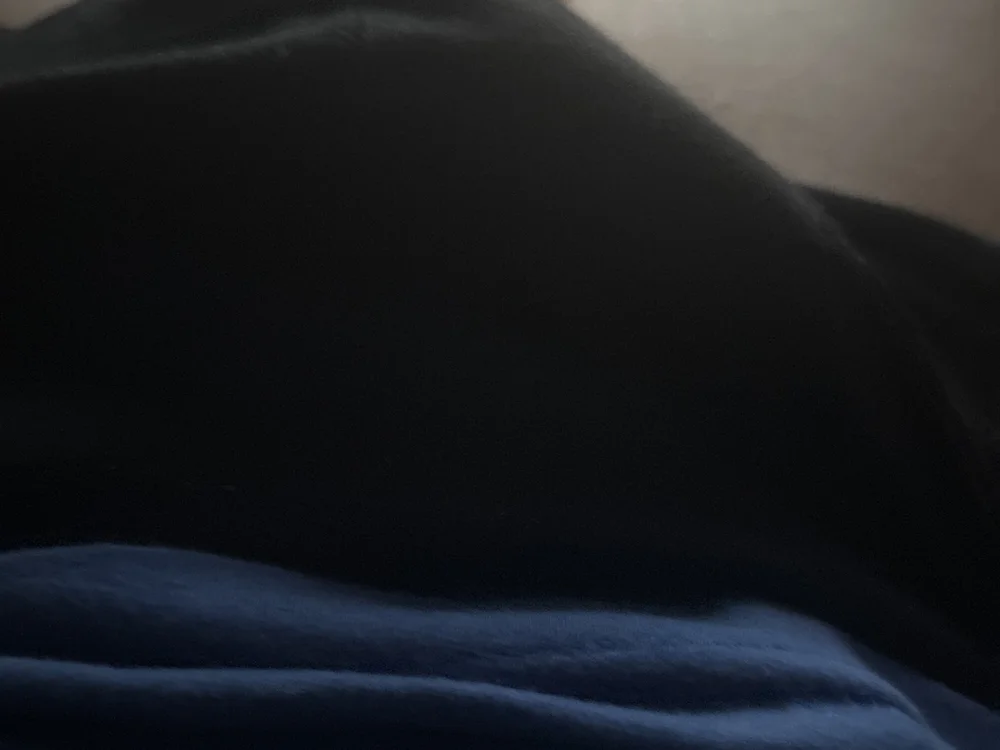 Chatroom XXX hors ligne de brumox