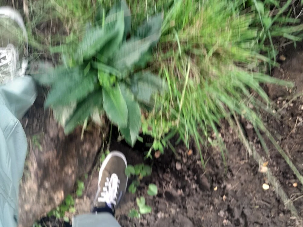 Offline XXX chat Dennis0847