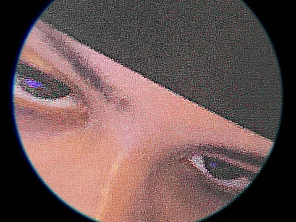 Bree_D Offline XXX-chat