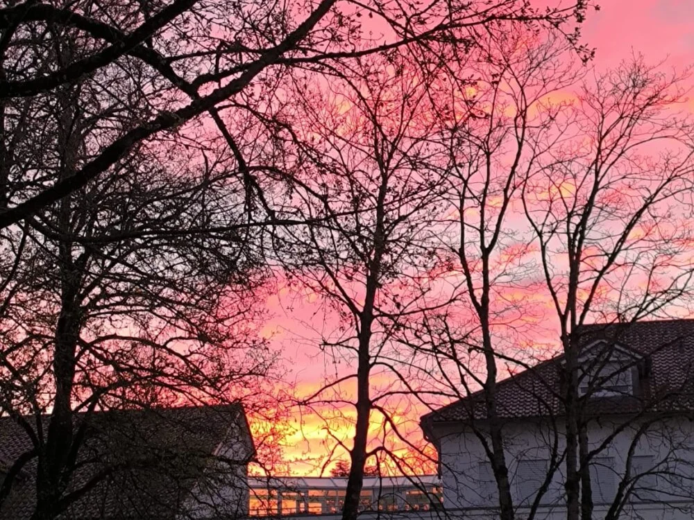 neoles Offline XXX-Chat