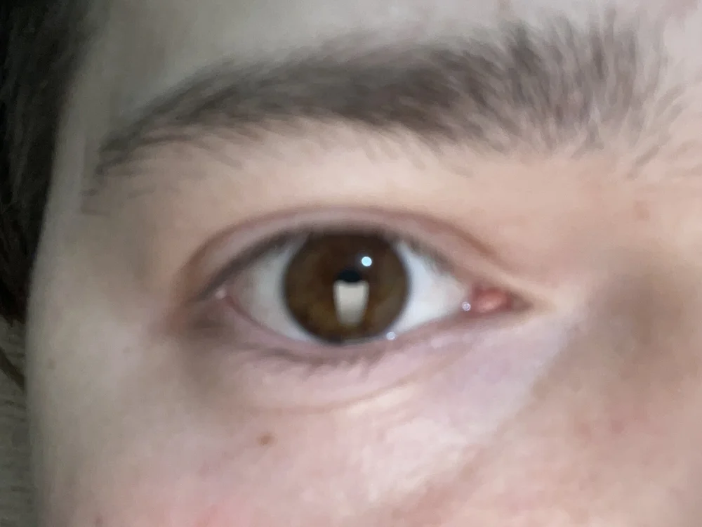 Offline chatovací místnost youngboy_big