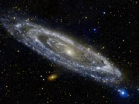 Model 7_INCH_MONSTER