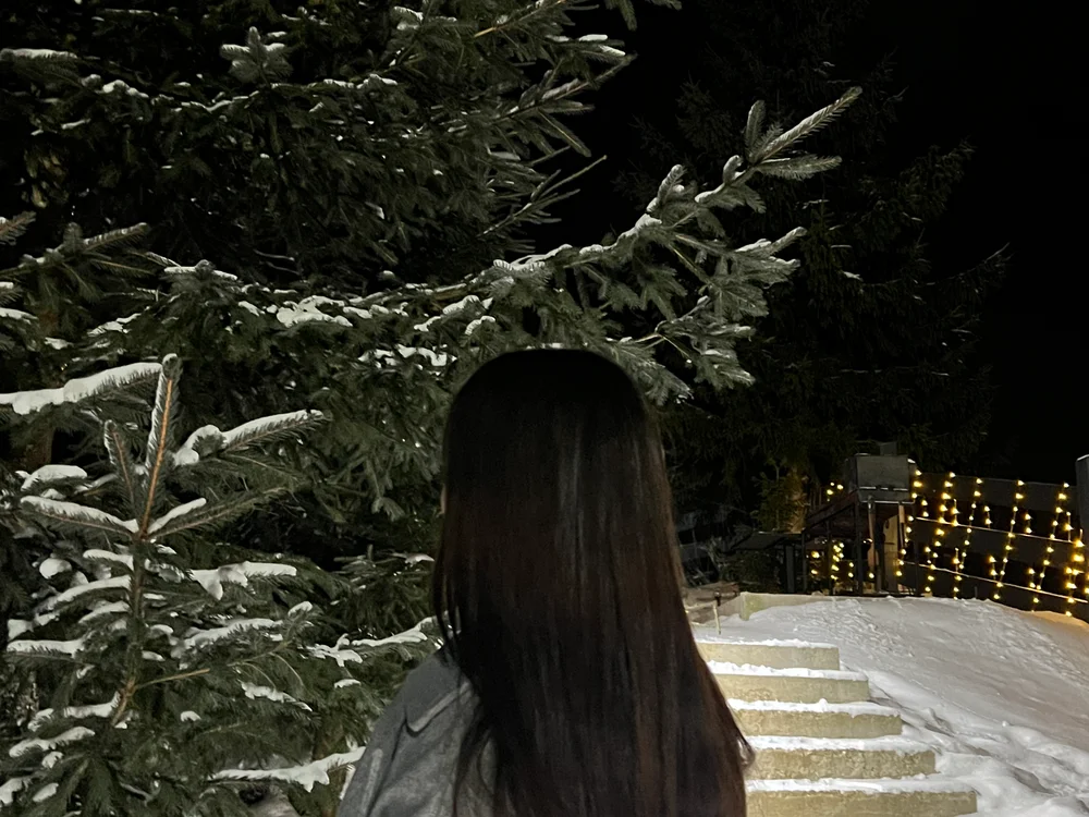 ElisesMuse 离线聊天室