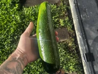 Theonly1uneedd's webcam live show