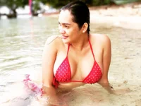 Модель adorabletrans69xx