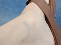 danickgaucha