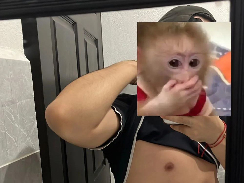 carlos_off's Offline Chat Room