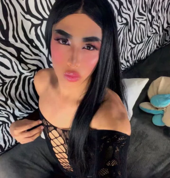 Vannarodriguez cam model