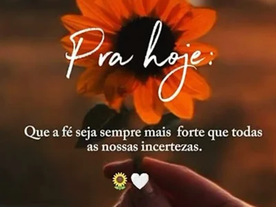 safadoporto35