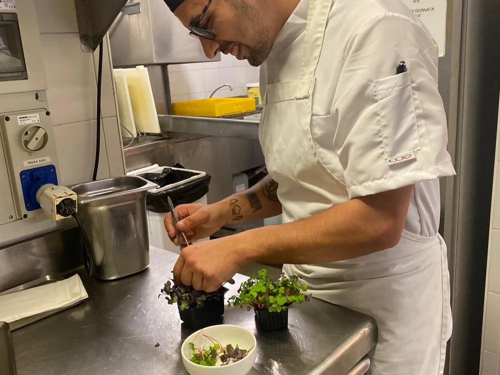 Chef69g Chat XXX offline