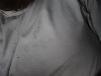 coringarato's Offline XXX Chat