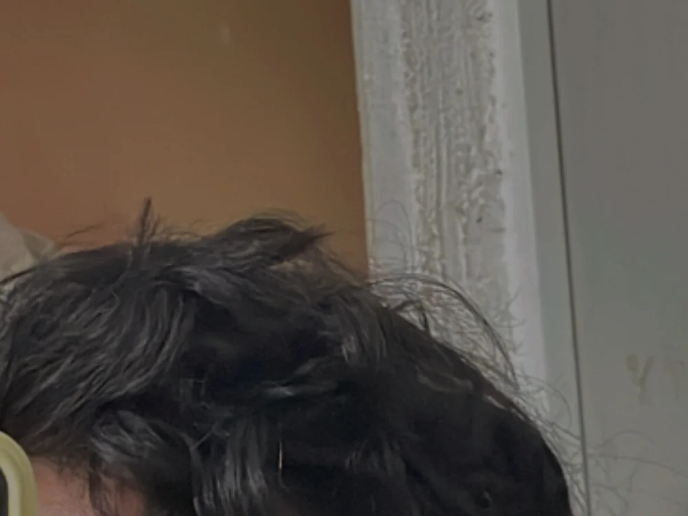 thereal_joe Offline XXX Chat