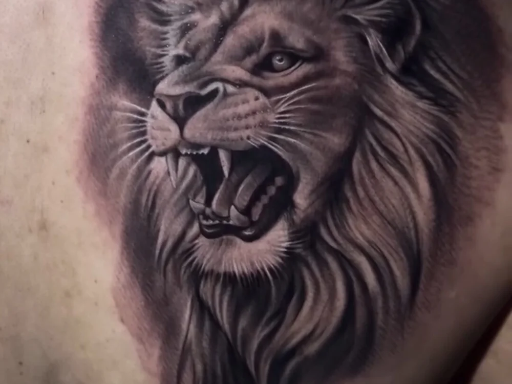 Chat +18 off-line de murilo0094