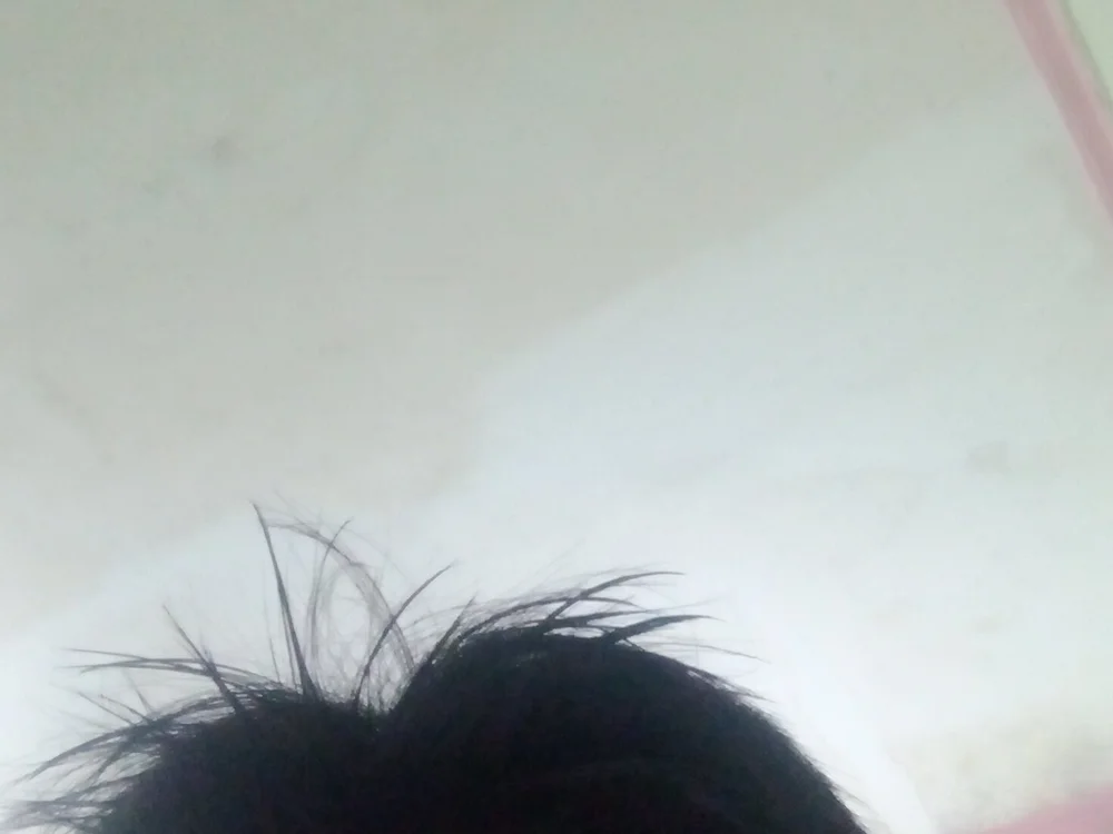 Slvbot202 Obrolan XXX Offline