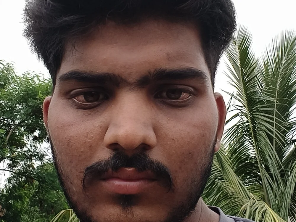 SneakyCitizen79 offline chatrum