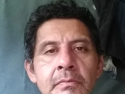 gatocae