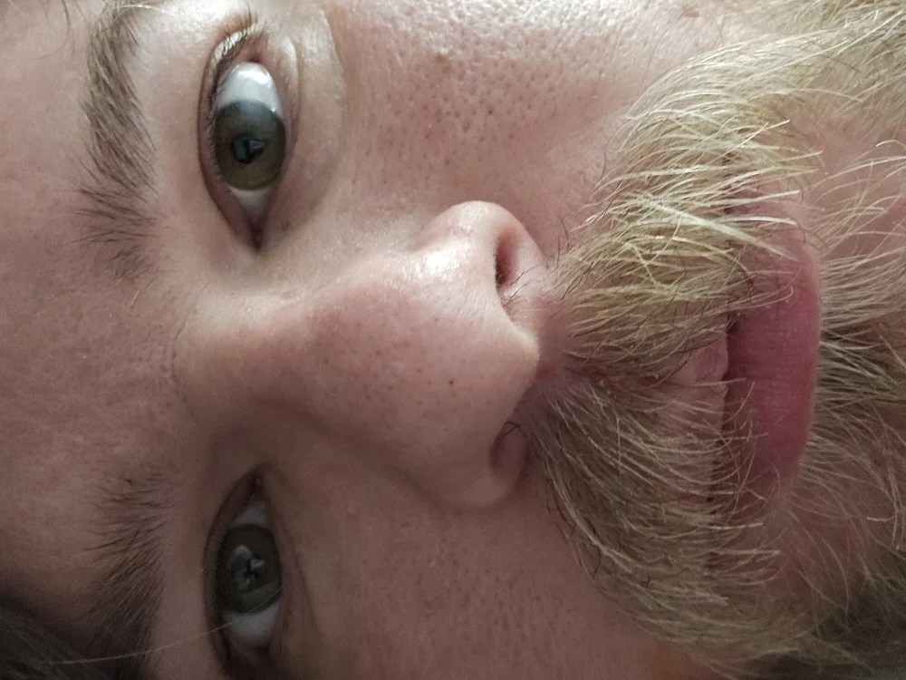 WildSide's Offline Chat Room