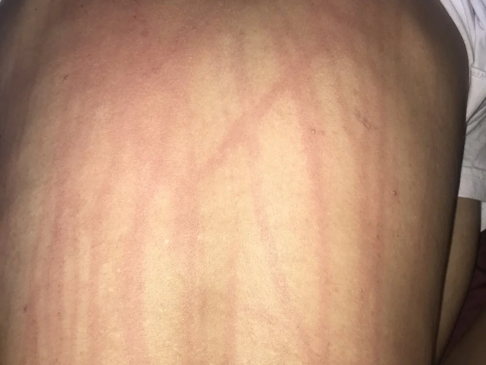 24_c Chat XXX offline