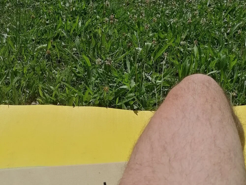 giobbe7 offline XXX-chatje