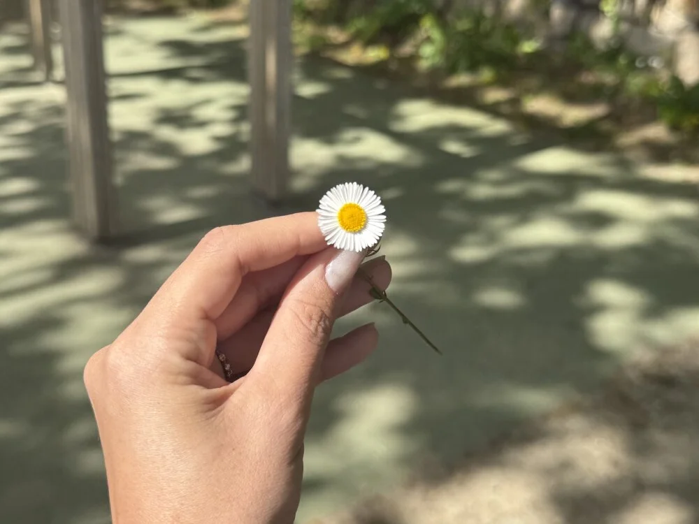 Chat +18 off-line de silverraquel