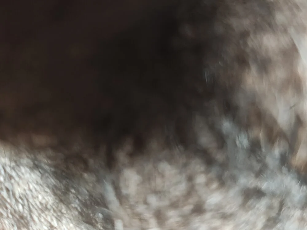 Chat XXX offline de Maxpor77