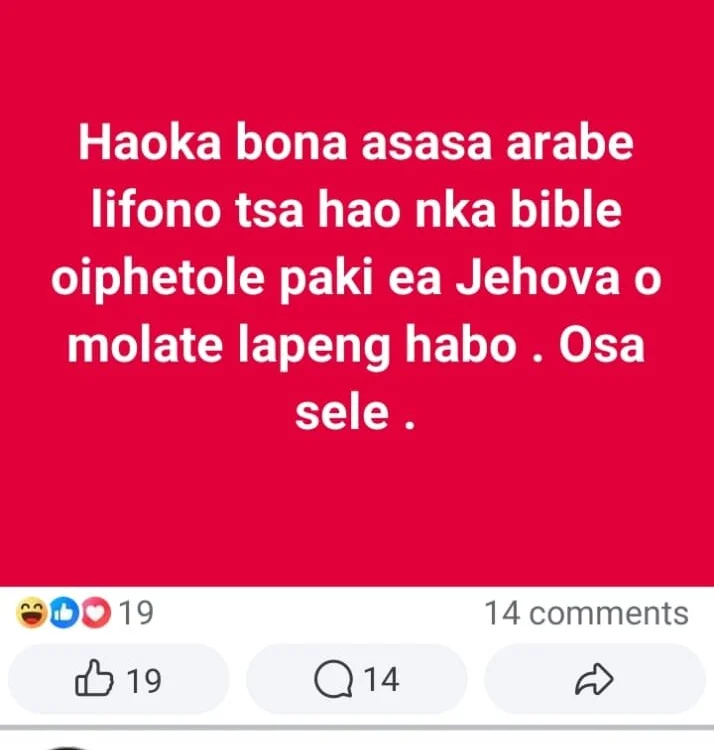 Jeanettuza 的封面照片