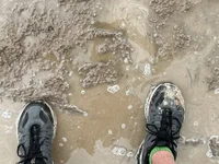 lateniter's webcam live show