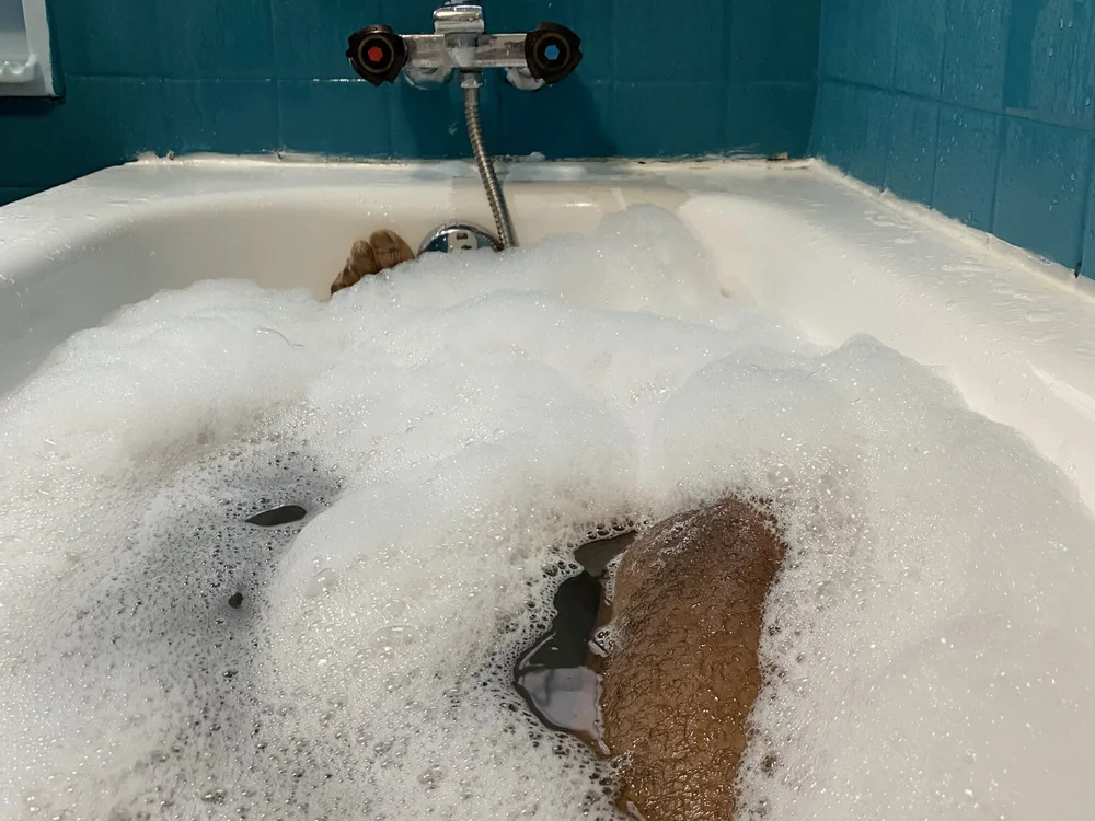 AfroCaribbeanDaddy's Offline XXX Chat