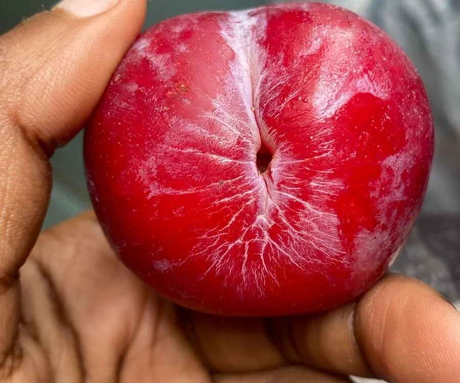 JohnGee00's Offline Chat Room