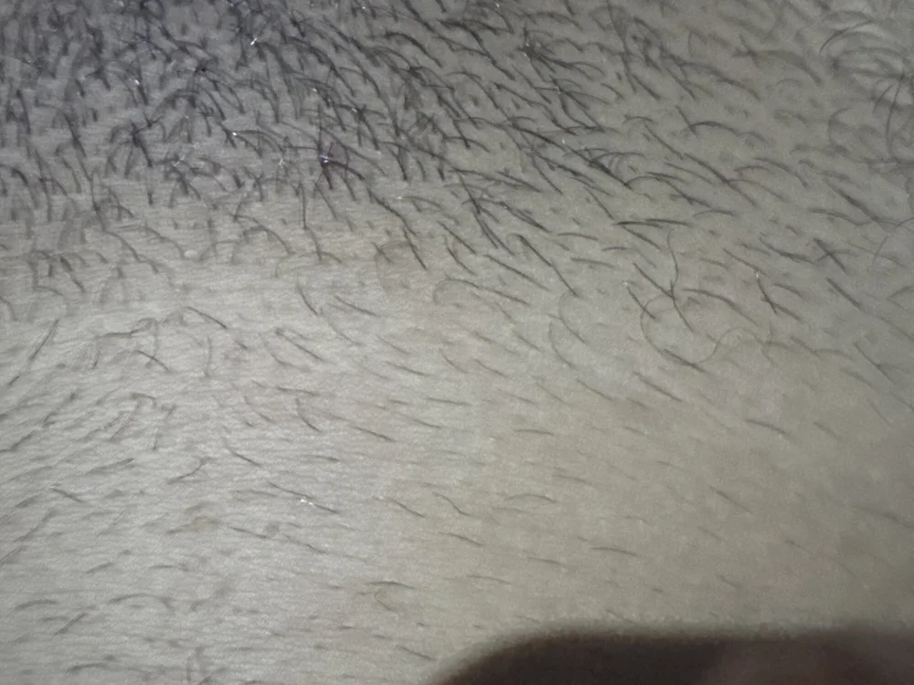 Chat XXX offline de joseph258994
