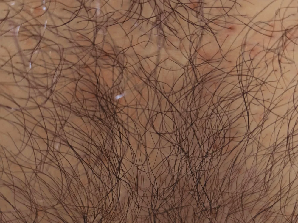 Deilan83 offline XXX-chat