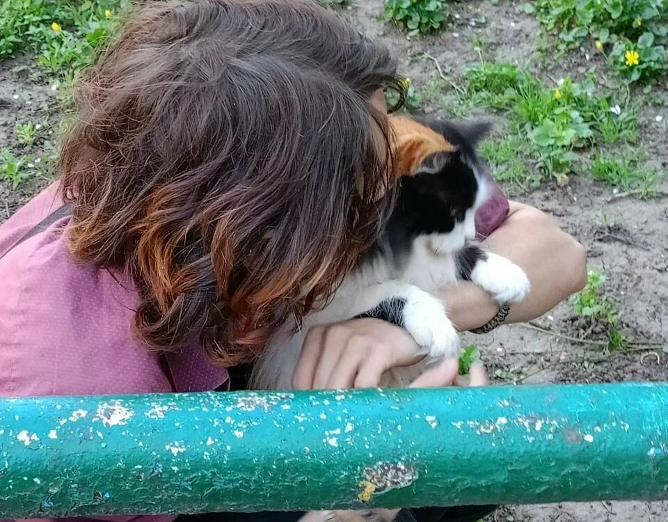 March_snow 离线XXX聊天