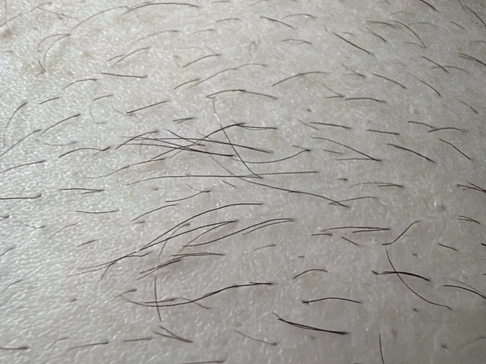 Offline XXX chat modela frarorrr