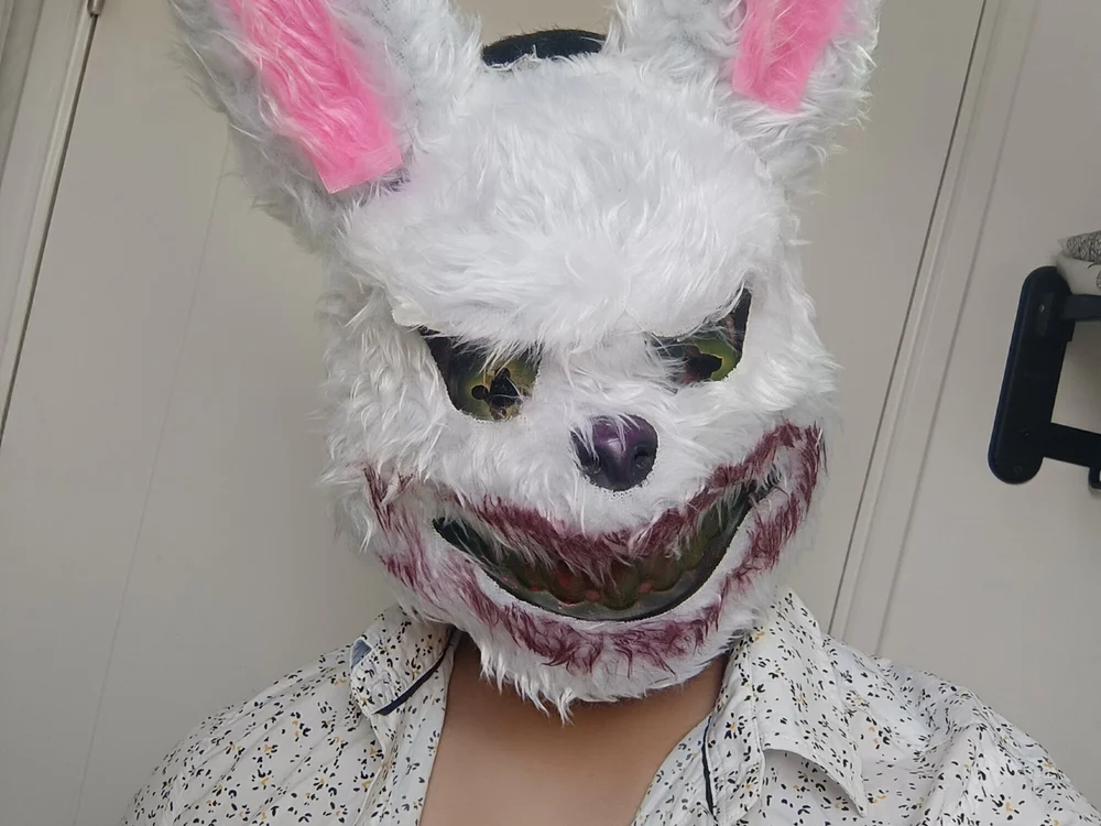 dirtybunny69 offline chatrum