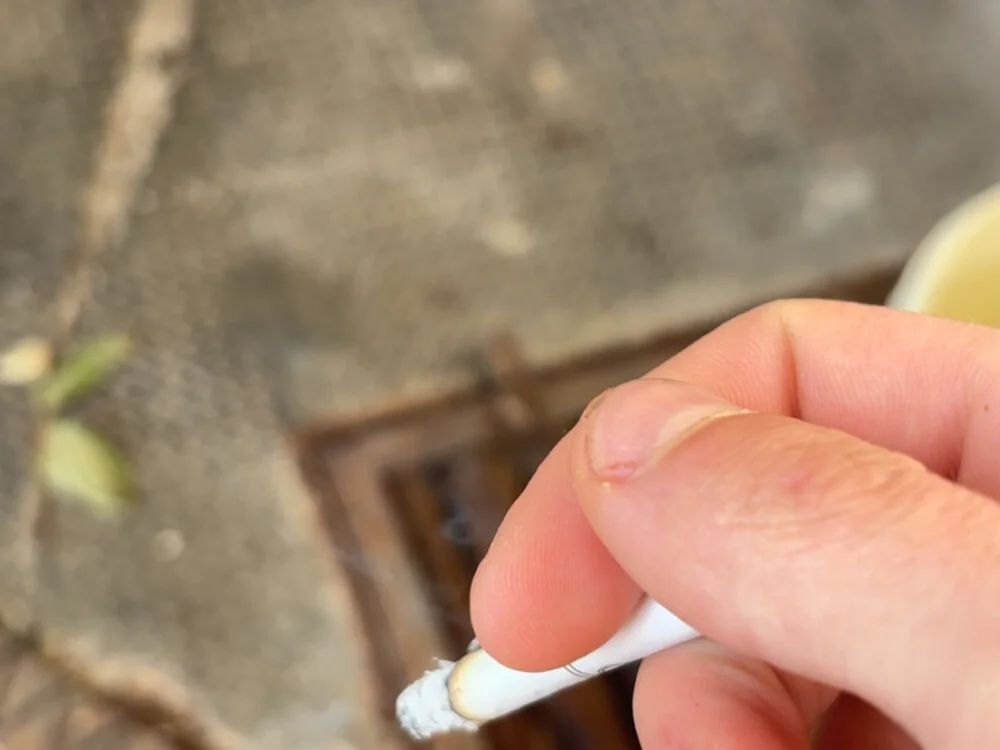 Szabi23456 offline XXX-chat