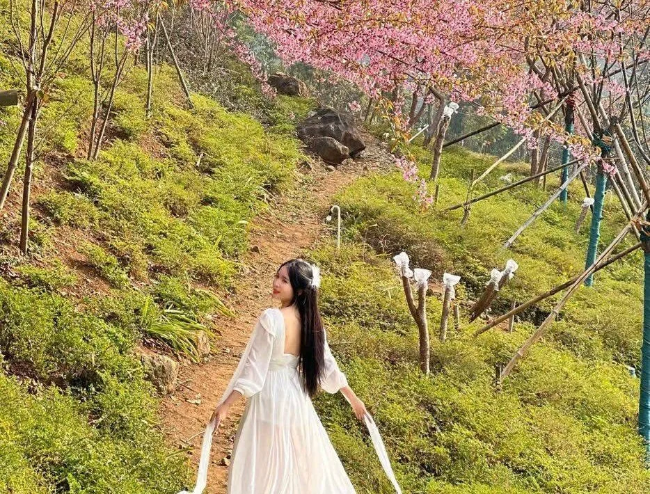 marylove-cc 離線 XXX 聊天