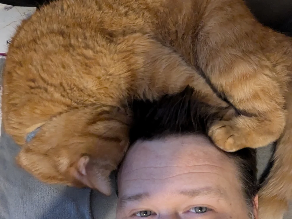 Bo0g Offline XXX Chat