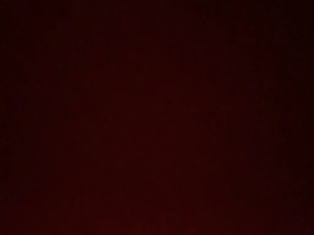 cover photo of hizabellah