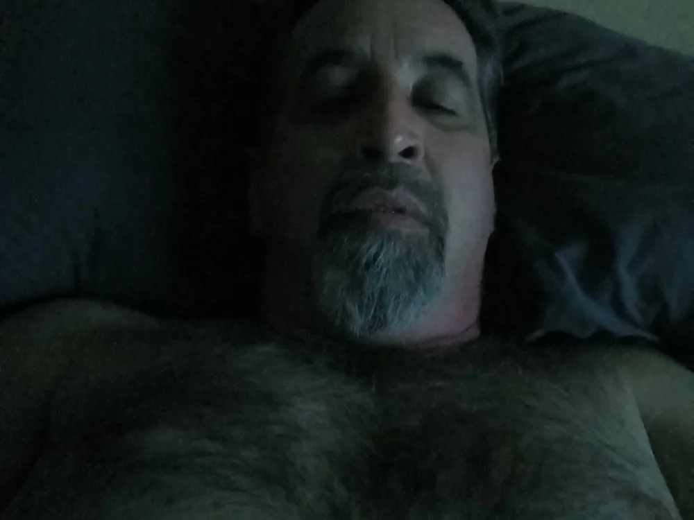 HairyB3ar offline chatrum